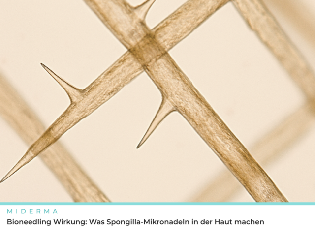 Bioneedling Wirkung: Was Spongilla-Mikronadeln in der Haut machen