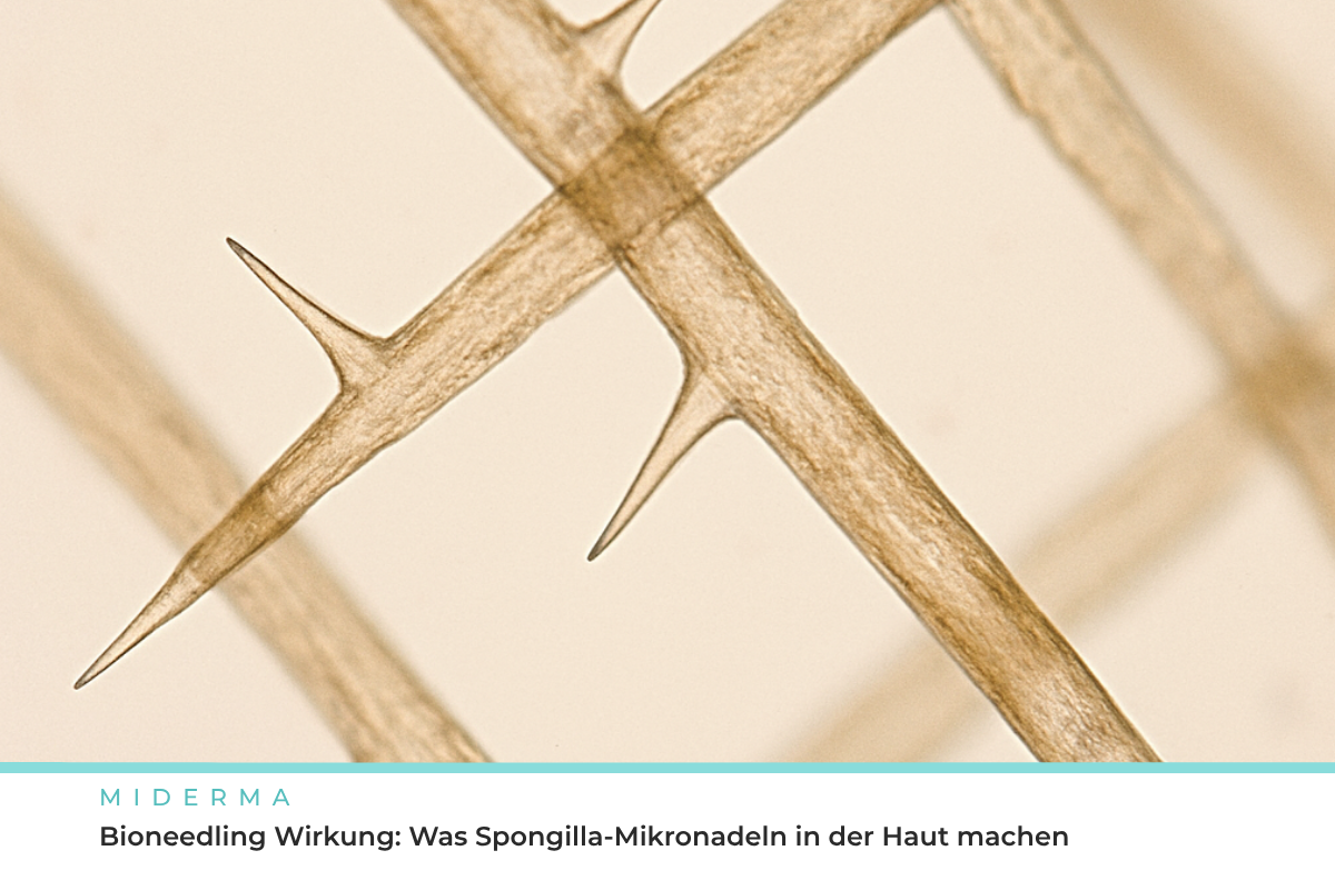 Spongilla Mikronadeln beim Bioneedling, Fachbeitrag von Melanie Miniaci