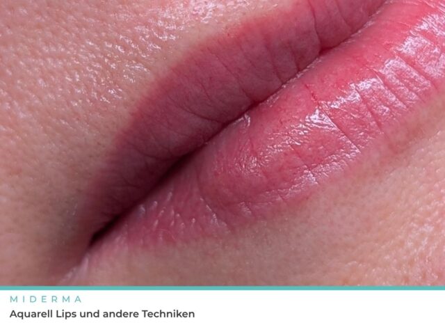 Aquarell Lips und andere Lippen-PMU-Techniken, was hinter den Namen steckt