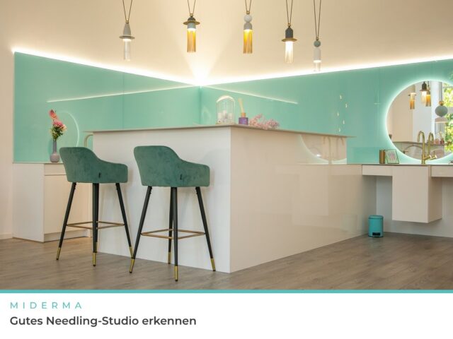 Woran du ein gutes Needling Studio erkennst